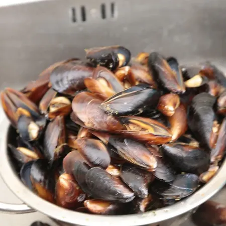 Aparthotel Морски Бряг